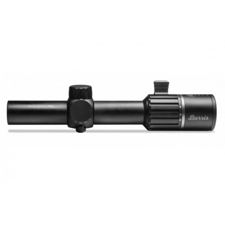 Visor Burris RT6 1-6x24