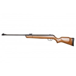 Carabina Gamo Big Cat Hunter