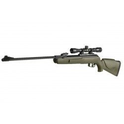 Carabina Gamo Big Cat 1000 E Barricade + visor